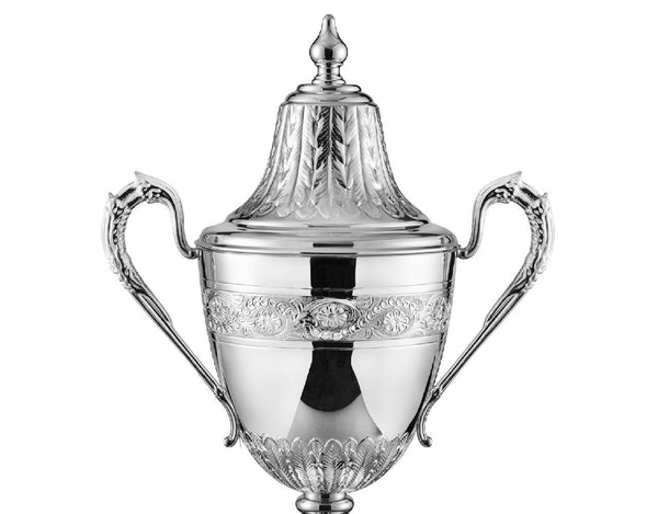 Swatkins Ultimate Riviera HC Award Complete image 2