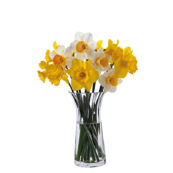 Dartington Florabundance Daffodil Vase 22.5cm image 0