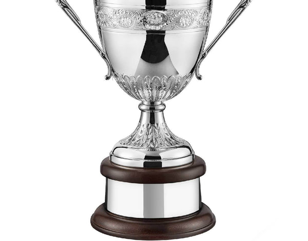 Swatkins Ultimate Riviera HC Award Complete image 3