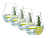 Riedel Gin Set (Set of 4) image 1