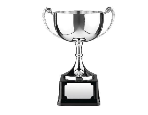 Swatkins 5in Endurance Award image 0