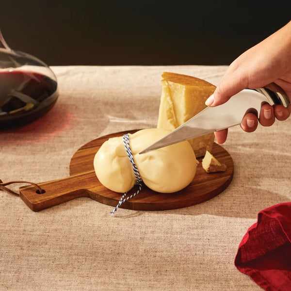 Alessi Antechinus Cheese Knife image 3