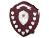 Swatkins Traditional Presentation Annual Shield With Scroll image 0