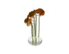 Massimo Lunardon Gerbera Glass Vase