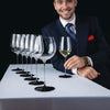 Riedel Wine Glass Experience 2026 Hosted by Maximilian J. Riedel image 3