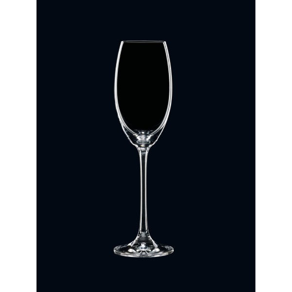 Nachtmann Vivendi Champagne Flute (Set of 4) image 1