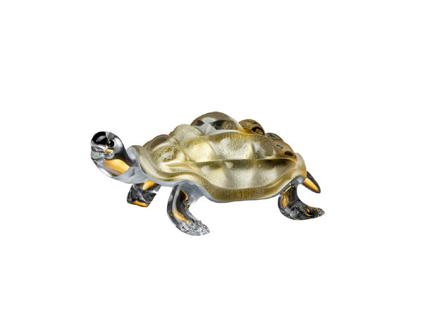 Duccio Tortoise White & Gold Small 19cm image 0
