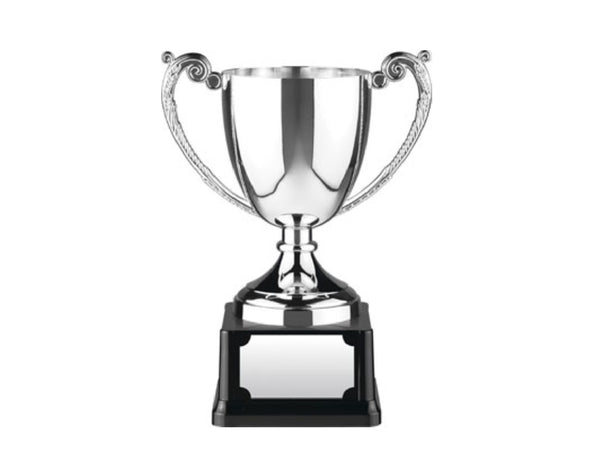 Swatkins 4.5in Endurance Award image 0