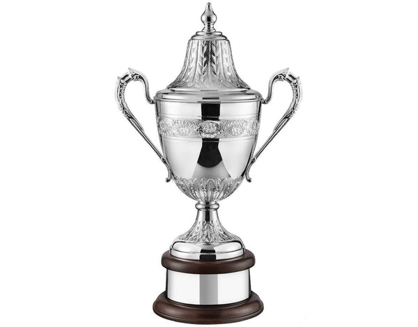 Swatkins Ultimate Riviera HC Award Complete image 1