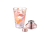 Maxwell & Williams Camilla Cocktail Shaker 480ML Gift Boxed image 1