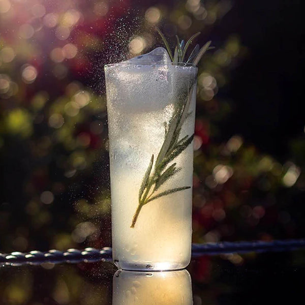 Nude Savage Highball Glasses Clear (Set of 4) image 3