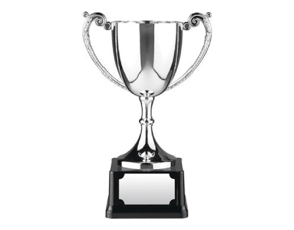 Swatkins 12.25in Endurance Award image 0