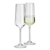 Flamefield Polycarbonate Savoy Champagne Flute Set of 2 image 0