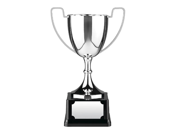 Swatkins 7.5in Endurance Award image 0