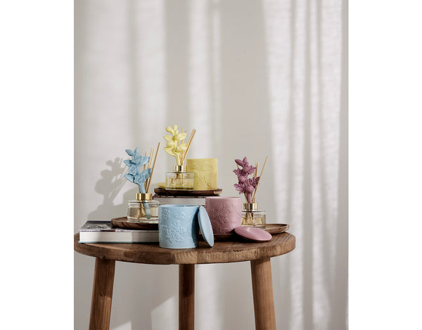 Maxwell & Williams Love Anna Botanika Diffuser White Gardenia Gift Boxed