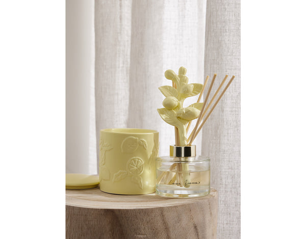 Maxwell & Williams Love Anna Botanika Fragrance Candle 290g Citrus Limon Gift Boxed
