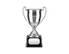 Swatkins 10in Endurance Awards