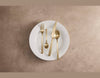 Maxwell & Williams Auroline 16Pcs Cutlery Set Champagne Gift Boxed