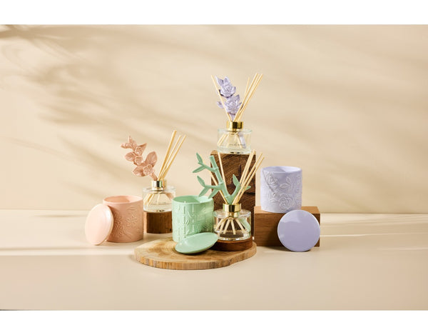 Maxwell & Williams Love Anna Botanika Diffuser 150ML Native Rose Gift Boxed image 4