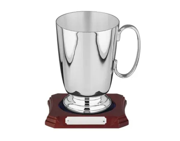 Swatkins Silver Plated One Pint Straight Sided Tankard image 0