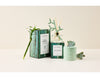 Maxwell & Williams Love Anna Botanika Diffuser 150ML Wild Bamboo Gift Boxed image 5
