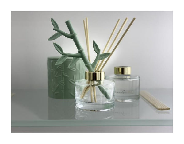 Maxwell & Williams Love Anna Botanika Diffuser 150ML Wild Bamboo Gift Boxed image 4
