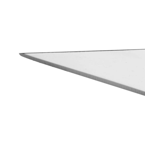 Alessi Antechinus Cheese Knife image 2
