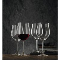 Nachtmann Vivendi Burgundy/Pinot Noir (Set of 4)