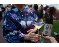 Riedel Junmai Sake (Pair)