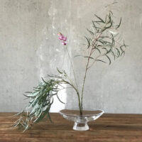 Nude Silhouette Bowl Large Clear