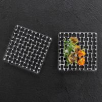 Nachtmann Square Plate (28cm)