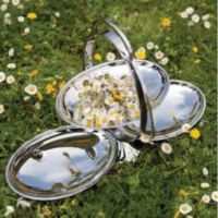 Alessi Anna Gong Folding Cake Stand