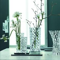 Nachtmann Bossa Nova Vase (28cm)