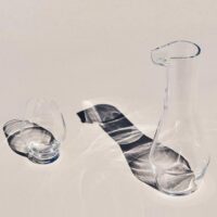Nude Beak Water Decanter (Clear)