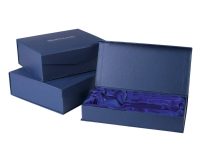 Swatkins Cube Topped Crystal Award