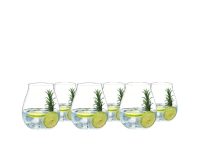 Riedel Gin Set Classic (Set of 6)