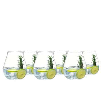 Riedel Gin Set Classic (Set of 6)