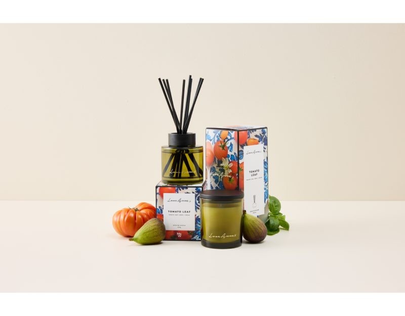 Maxwell & Williams Love Anna Kitchen Delights Fragrance Candle 205g Tomato Leaf Gift Boxed