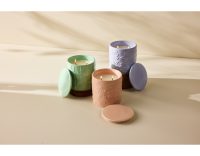 Maxwell & Williams Love Anna Botanika Fragrance Candle 290g Native Rose Gift Boxed