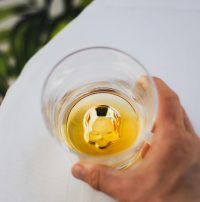 Nude Memento Mori Whiskey Glasses Clear (Set of 2)
