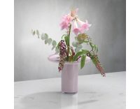 Nud Bloom Cake Stand with Dome (Clear + Opal Pink)